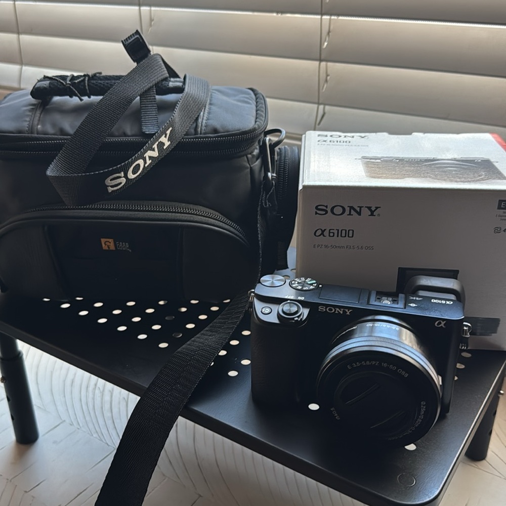 Sony Alpha a6100 Mirrorless Camera
